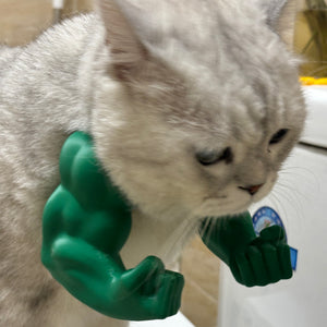Interesting Cat Neck Hanging Toy - 3D Printed Muscular Arm Toy-Ideal for pet birthdays, cosplay parties